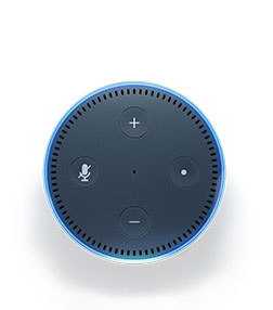 Ask Amazon Echo Dot