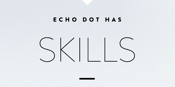 Amazon Echo Dot has skills